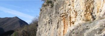 photogallery