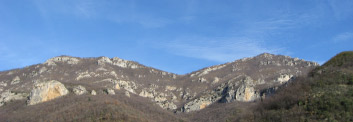 photogallery
